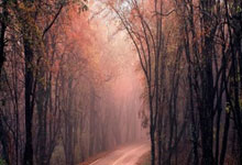 孙铭徽顶替郭艾伦进入CBA全明星赛南区首发名单新华社新媒体.