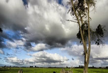 东升国际：委内瑞拉10秘鲁，龙东点射制胜，布赖恩雷纳进球无效.