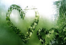 [赛车]图集-2025F1澳大利亚大奖赛.