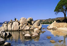 东升国际:追梦:韦德和哈登我选韦德 哈登的统治力主要在于打控卫.